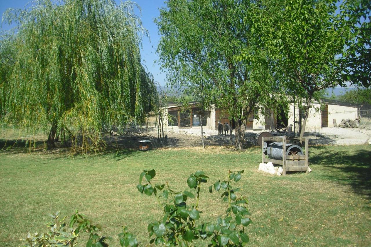 Apartamento Lou Mas Li Pitchoun "L'Olivade" Gordes Exterior foto