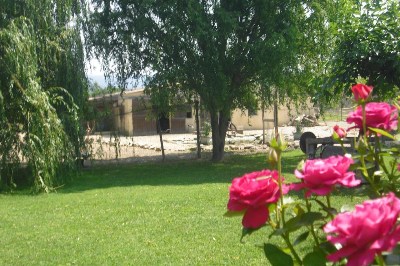 Apartamento Lou Mas Li Pitchoun "L'Olivade" Gordes Exterior foto